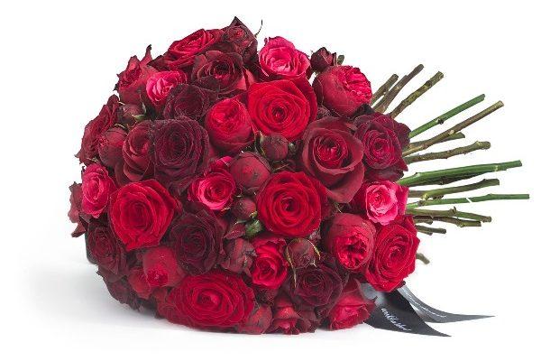 A red and pink rose bouquet with green stems on a white background, perfect for Valentine's Day.