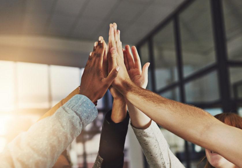 A group of colleagues giving each other a high five in a modern office with sunlight streaming in from the window behind.