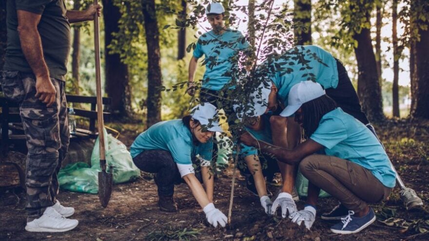 Group of multi-ethnic people, people with differing abilities , volunteers planting tree in park