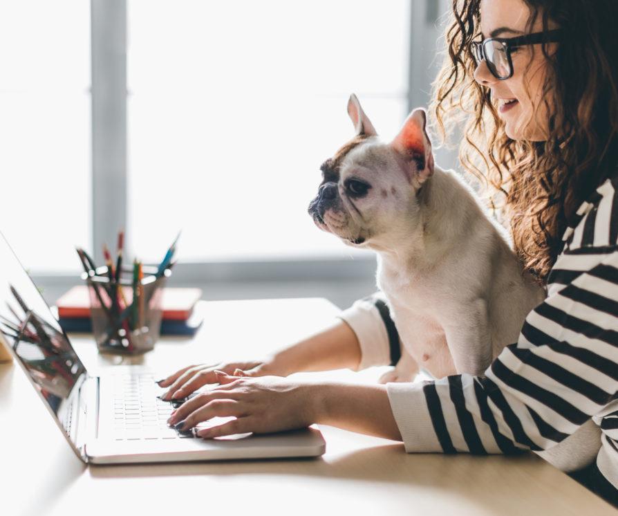 Dog and woman using laptop