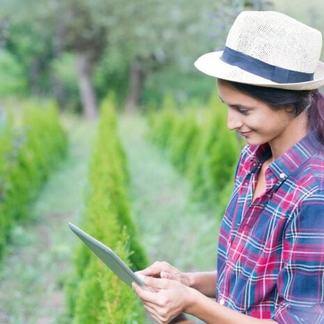woman works in field with phone