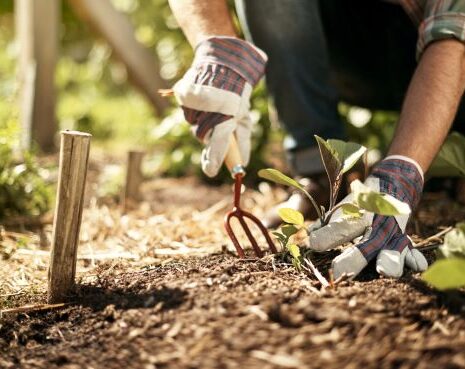 Close up of a gardener's gloved hands as they dig into soil.