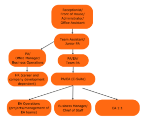 Personal Assistant Career Progression | Tiger Recruitment