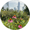 Amber D'Amato profile picture