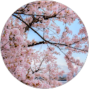 Maria Angelica Naguiat profile picture